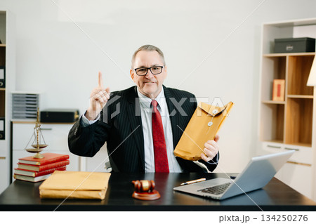 Professional male lawyers consulting on legal cases in a modern office. Perfect for law, business, justice, legal advice Professional male lawyers consulting on legal cases in a modern office. Perfect for law, business, justice, legal advice 134250276