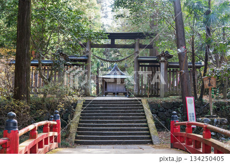 埼玉県：金鑚（かなさな）神社／太鼓橋と鳥居／児玉郡神川町 134250405