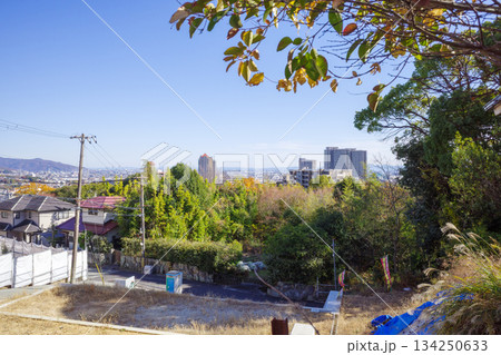 宝塚　遠景 134250633