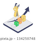 医療DXの成果を分析する女性医師のアイソメイラスト 134250748