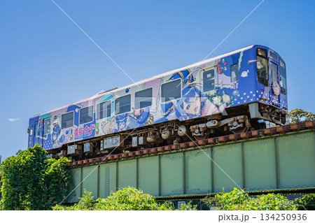 浜松市の天竜浜名湖鉄道と天竜川河川敷の風景(静岡県) 134250936