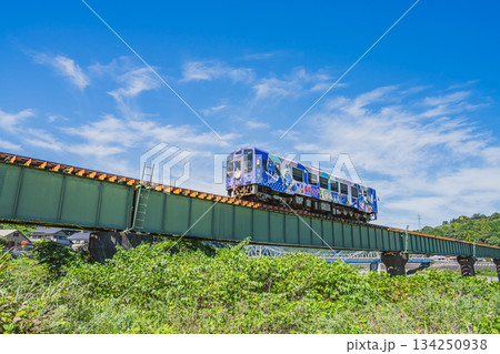 浜松市の天竜浜名湖鉄道と天竜川河川敷の風景(静岡県) 浜松市の天竜浜名湖鉄道と天竜川河川敷の風景(静岡県) 134250938