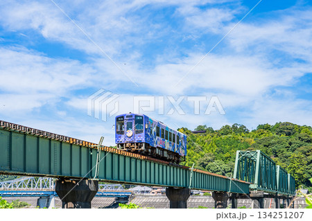 浜松市の天竜浜名湖鉄道と天竜川河川敷の風景(静岡県) 134251207