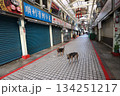 華西街観光夜市と犬 134251217