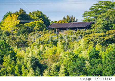 浜松市の鳥羽山公園の風景(静岡県) 浜松市の鳥羽山公園の風景(静岡県) 134251342