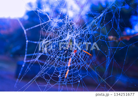 晩秋の朝の市立美術館 134251677