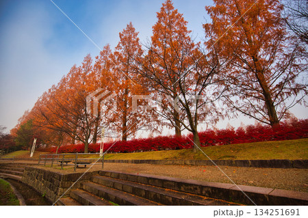 晩秋の朝の市立美術館 晩秋の朝の市立美術館 134251691