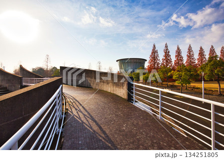 晩秋の朝の市立美術館 134251805
