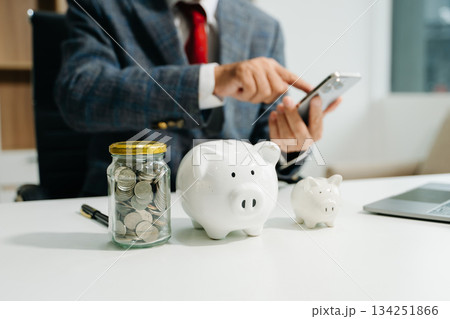 Save smart! Explore financial planning with coins, piggy banks, and digital tools. Perfect for savings, banking Save smart! Explore financial planning with coins, piggy banks, and digital tools. Perfect for savings, banking 134251866