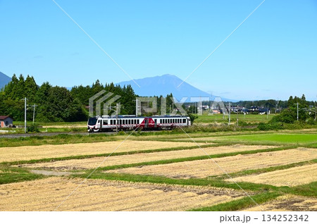 東北本線を走る観光列車ひなび 東北本線を走る観光列車ひなび 134252342