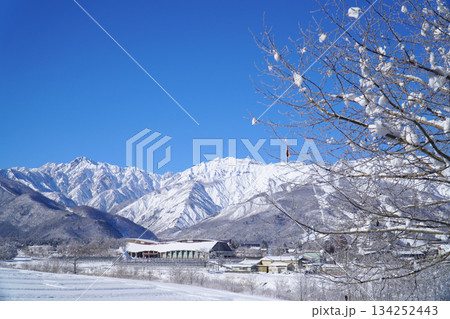 雪景色の白馬村と北アルプス 雪景色の白馬村と北アルプス 134252443