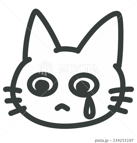 涙を流して泣いている猫のイラスト 涙を流して泣いている猫のイラスト 134253197