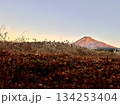 秋から冬へ 134253404
