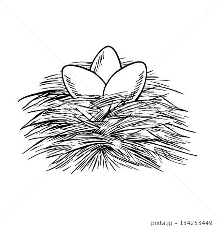 A nest with chicken eggs. Black and white vector illustration drawn by hand. Three brown eggs in a straw nest. The concept of poultry farming. A design element for banners, labels, packaging, and more A nest with chicken eggs. Black and white vector illustration drawn by hand. Three brown eggs in a straw nest. The concept of poultry farming. A design element for banners, labels, packaging, and more 134253449