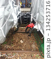 電車の結合部分 134253716