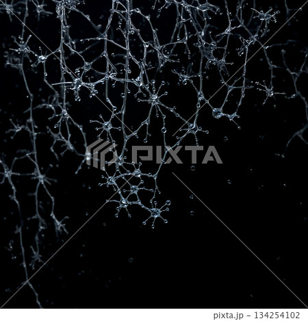 ニューロンの様に水が連なる 134254102