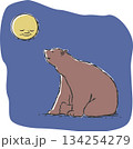 夜空の満月を見上げて微笑むクマのイラスト 134254279