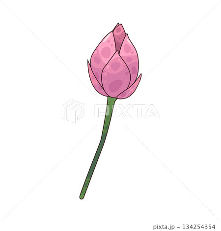 illustration of Lotus Flower 134254354