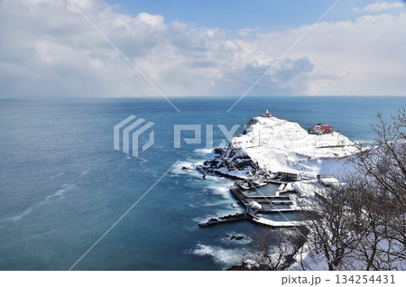 岬の冬景色 134254431