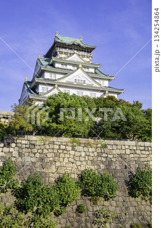 大阪城天守閣（大阪府大阪市） 134254864