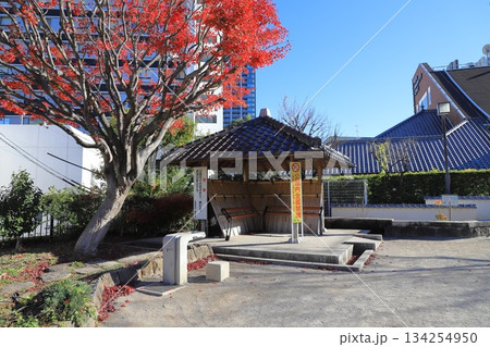 新宿区立若宮公園　新宿区神楽坂二丁目 134254950