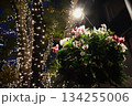 夜のイルミネーションと花のハンギングバスケット 134255006