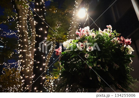 夜のイルミネーションと花のハンギングバスケット 134255006