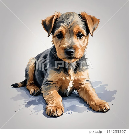 レークランドテリアの子犬がごろんと寝転ぶ姿 レークランドテリアの子犬がごろんと寝転ぶ姿 134255397