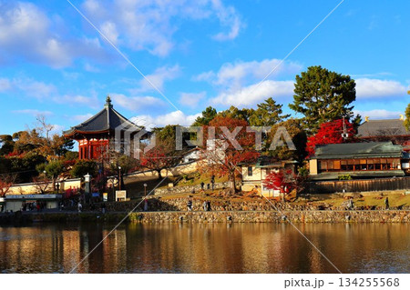 興福寺の南円堂 134255568