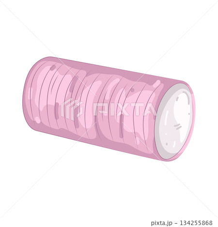 Illustration of hair roller Illustration of hair roller 134255868