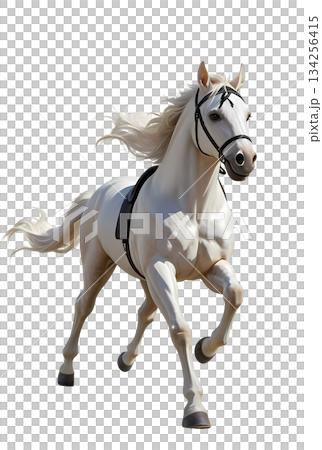 A cool white horse galloping from the front (transparent PNG) A cool white horse galloping from the front (transparent PNG) 134256415
