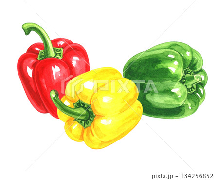 カラフルなピーマンの水彩イラスト 134256852