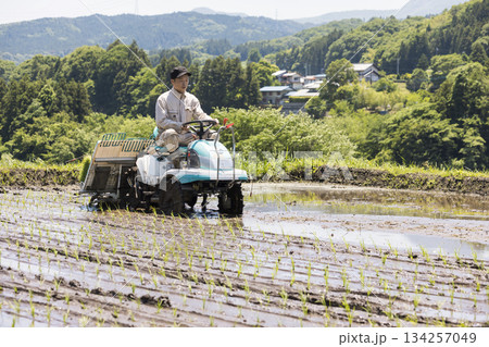 田植え機で田植えをする若い男性 米農家 田植え機で田植えをする若い男性 米農家 134257049