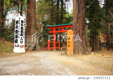 【岩手県】中尊寺 白山神社の鳥居 【岩手県】中尊寺 白山神社の鳥居 134257111