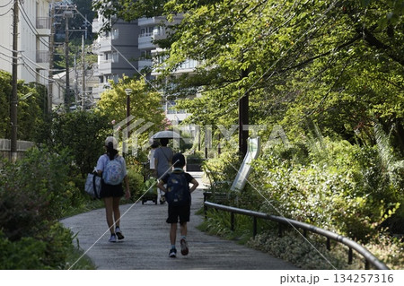 目黒川緑道 134257316