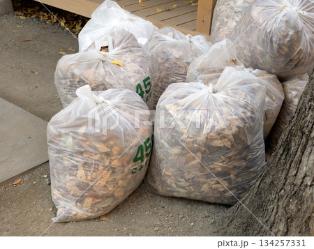 掃き集めた落ち葉 134257331