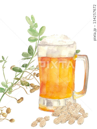 水彩で描いた生ビールと落花生のイラスト素材【手描き】白バック 透過背景 コピースペースあり 134257672