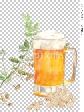 手繪水彩插畫，描繪了生啤酒和花生。白色背景，透明背景，留有空白區域。 134257672