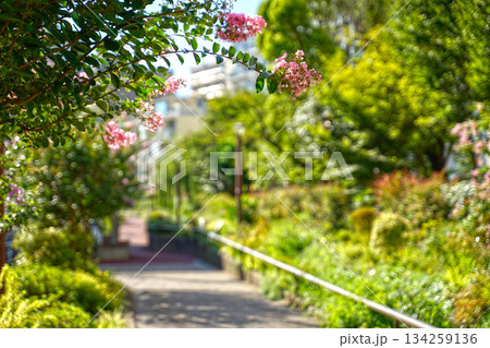 目黒川緑道 134259136