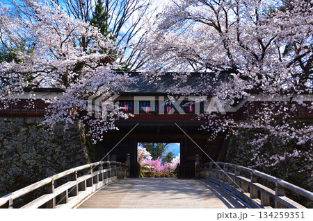 春 桜 諏訪高島城 冠木門 春 桜 諏訪高島城 冠木門 134259351