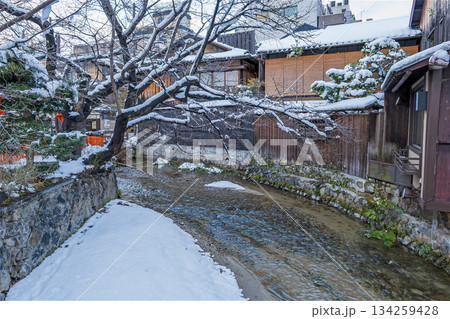 京都 祇園白川冬景色 京都 祇園白川冬景色 134259428
