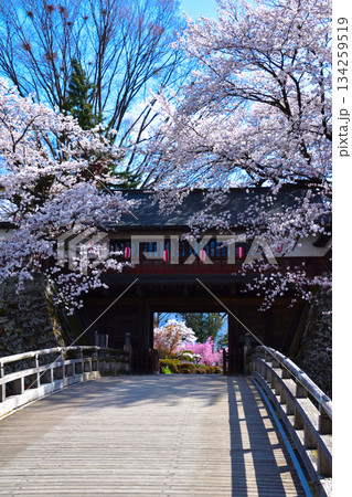 春　桜　諏訪高島城　冠木門 134259519