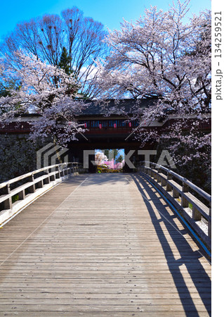 春　桜　諏訪高島城　冠木門 134259521