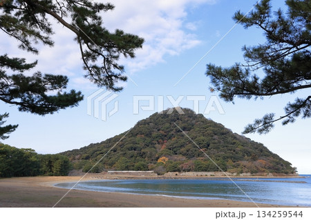 松林から見える菊が浜と指月山 松林から見える菊が浜と指月山 134259544