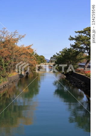 冬の朝日に照らされる指月川 冬の朝日に照らされる指月川 134259546