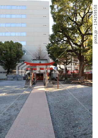 2024年・福岡・福岡市・風景・中央区天神・神社・警固神社・其の一 134259558