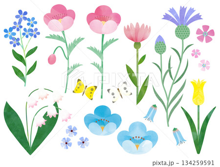 花のカットイラスト 134259591