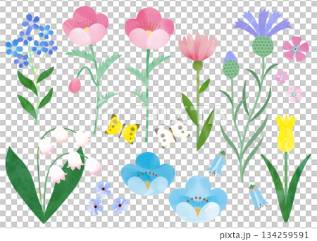 花のカットイラスト 134259591