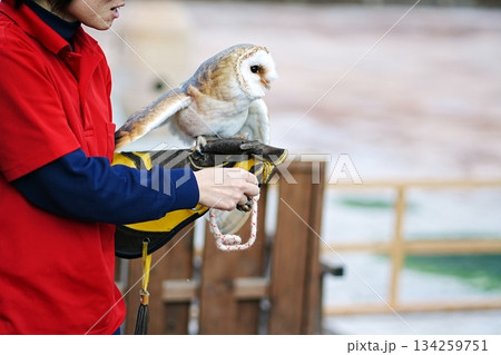 松江フォーゲルパーク パラダイスホール(ふれあい温室)の風景 松江フォーゲルパーク パラダイスホール(ふれあい温室)の風景 134259751