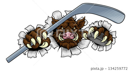 Boar Wild Hog Razorback Warthog Pig Hockey Mascot Boar Wild Hog Razorback Warthog Pig Hockey Mascot 134259772